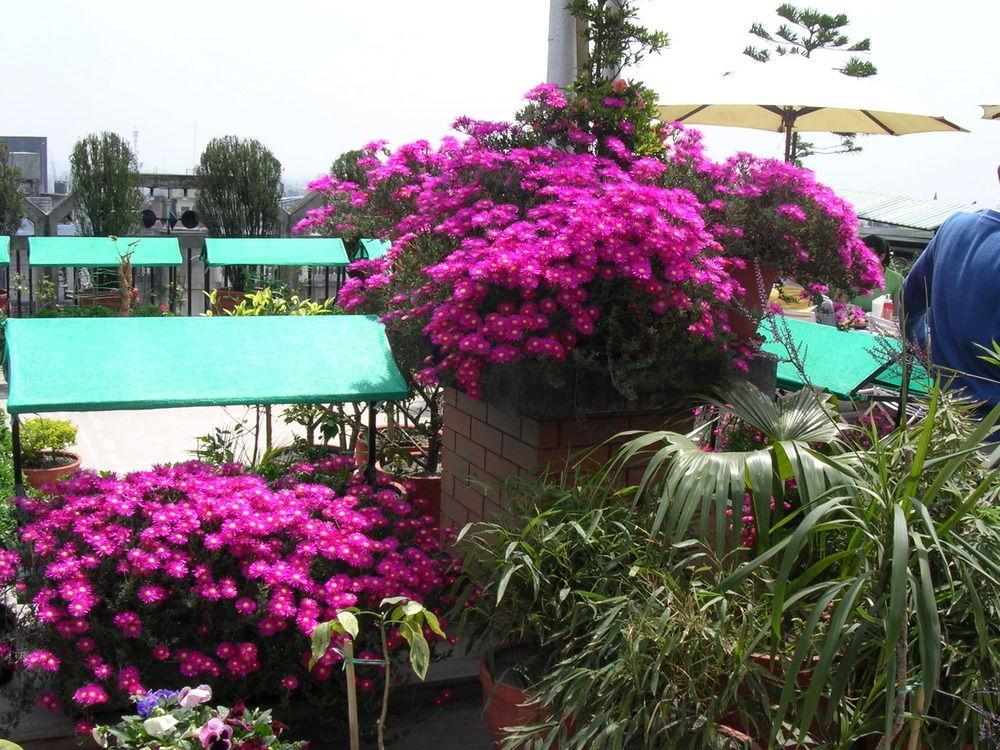 Hotel Excelsior Kathmandu Exterior foto